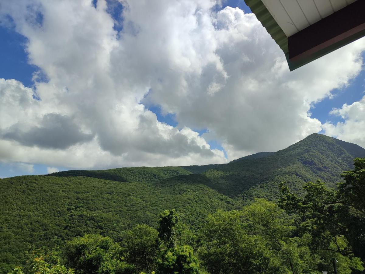 De La Montagne